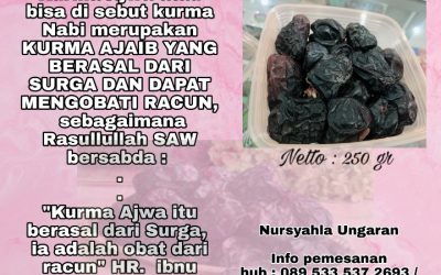 Kurma Ajwa Greet A