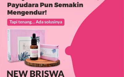 New Briswa Series – Rp. 235.000,-