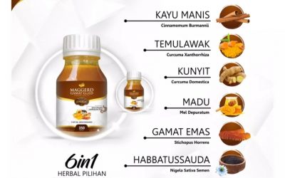 Madu Maggerd Gamat Gold