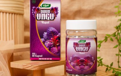 Kapsul Daun Ungu Syifa
