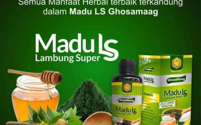 MADU LAMBUNG SUPER GHOSAMAAG