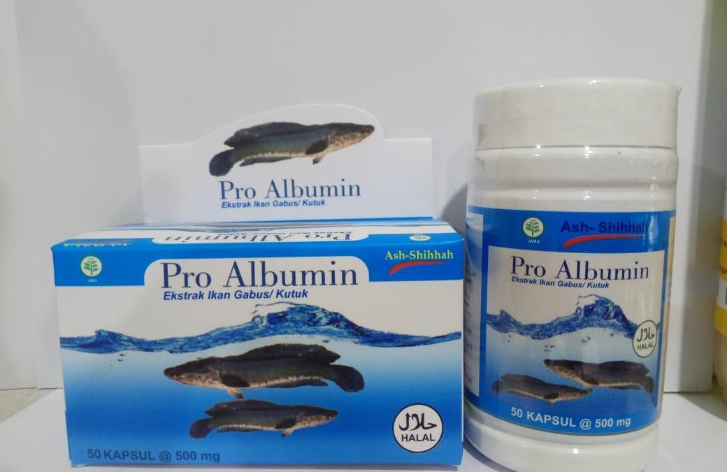 Pro Albumin Ekstrak Ikan Gabus / Kutuk
