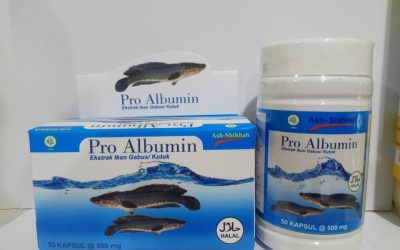 Pro Albumin Ekstrak Ikan Gabus / Kutuk