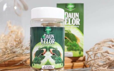 Syifa Ekstrak Kapsul Daun Kelor 60 Kapsul