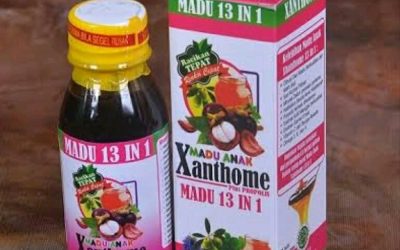 Madu Anak Xanthome 13 in 1 Plus Propolis 150 Gr
