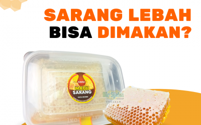 SARANG LEBAH BISA DIMAKAN???
