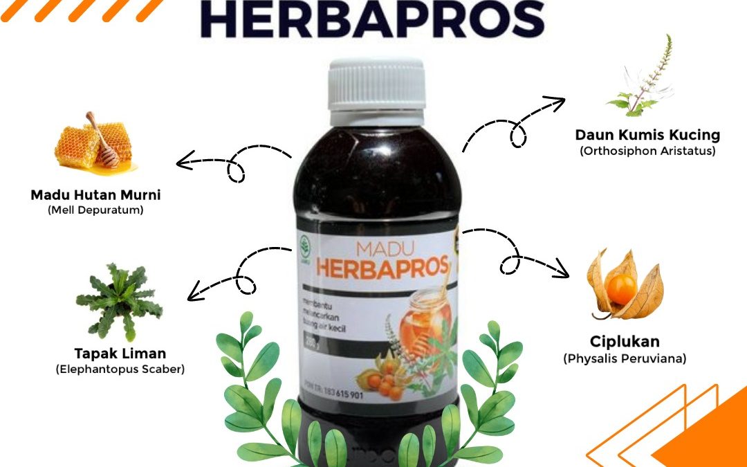 Punya Masalah Prostat? Madu Herbapros Solusinya!