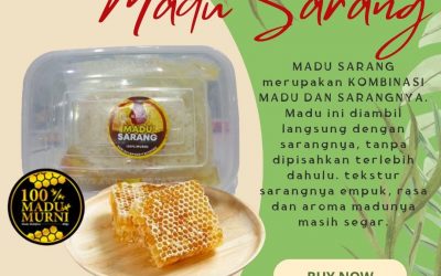 READY STOK, MADU SARANG ASLI