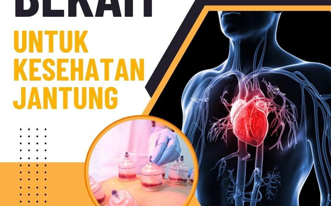 Manfaat Bekam Untuk Kesehatan Jantung