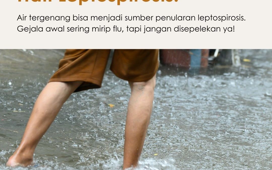 🍃Percepat Pemulihan Leptospirosis dengan Terapi Pendukung